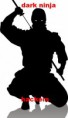 /album/galeria-de-fotos/ninja-jpg/